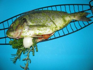 Dorade Royal grillen